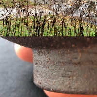 Rough and smooth: tea meditation