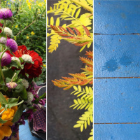 Libations and glow: tea meditation