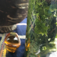 Sparrows and cardinals and blueberry bushes