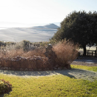 Frost and hope: Two Gardens