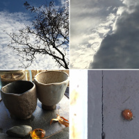 A Late Ladybug: Tea Meditation