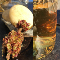 Sunshine after gray: tea meditation