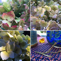 Hydrangea theme and variation: tea meditation
