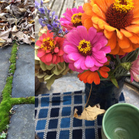 Late fall flowers: tea meditation