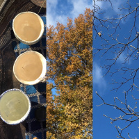 Leaf ballet: tea meditation