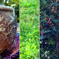 Bright red and deep green