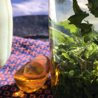 Songs from an alien electric planet: tea meditation