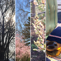 Beauty of the morning