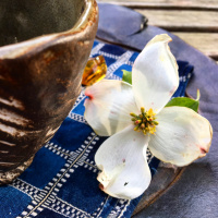 Dogwood blossom
