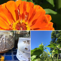 Glimpse of hope on a sorrowful morning: tea meditation