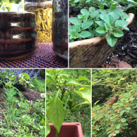 Change is the constant