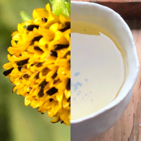 Fallen away: tea meditation