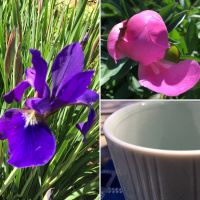 Openings: Tea Meditation