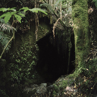 Caroline McQuarrie Artist Talk