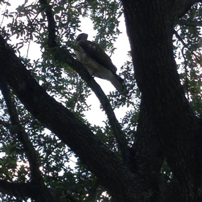 Pursuit Of Epic Work Breaks