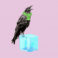 Cold Feet Story SLAM - Katrina Blair