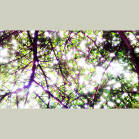 FFP 0209 – Stolen Beats, Patchwork Hearts