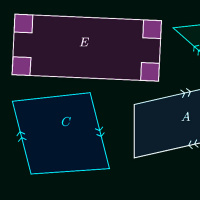 FFP 0102 – Divergent Lines