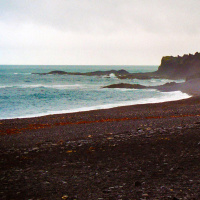 FFP 0119 – Wrong Word