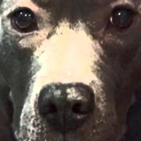 Hidden Places – FFP 0642