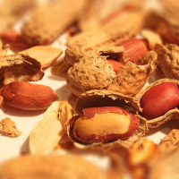 FFP 0106: Shelter within the Peanut Shells