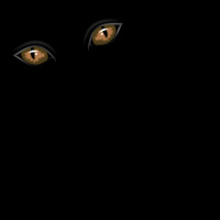 Consider the Monsters – FFP 0731