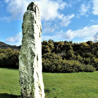 The Standing Stones of Erelong – FFP 0742