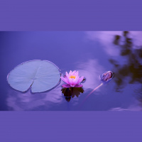 FFP 0207 – Dolls for Deities