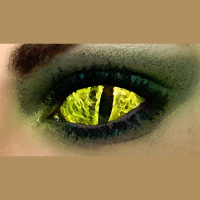 FFP 0205 – The Wagon Master