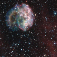 Gestation – FFP 0710