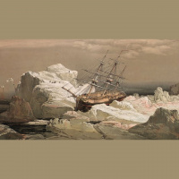 FFP 0204 – A Single Soft Step