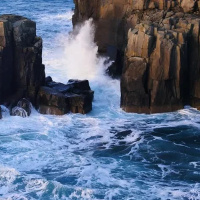 The Wave – FFP 0808