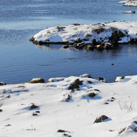 Labyrinth Islands – FFP 0644