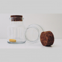 FFP 0220 – A Trick of Memory