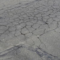 FFP 0136 – Roadkill