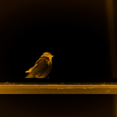 Manawaker Studios Flash Fiction Podcast