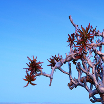 Manawaker Studios Flash Fiction Podcast