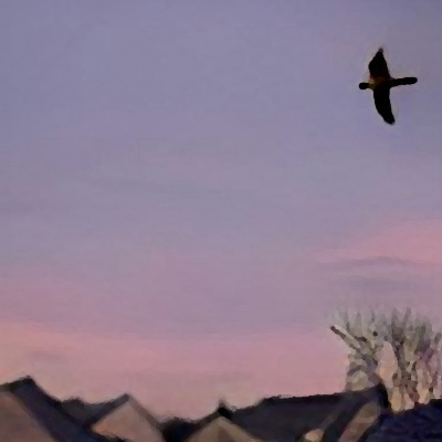 Manawaker Studios Flash Fiction Podcast