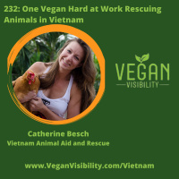 232: One Vegan Hard at Work Rescuing Animals in Vietnam