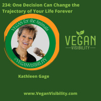 234: One Decision Can Change the Trajectory of Your Life Forever 