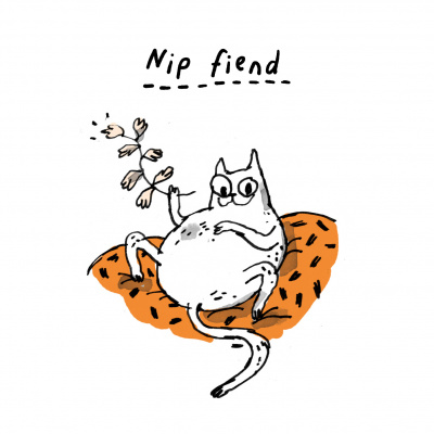 Make It Then Tell Everybody