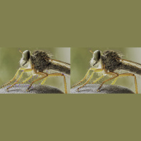 FPC342 - Hokus Pokus KI-dibus