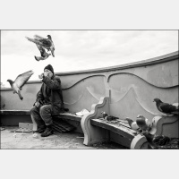 Interview mit Dominic Verhulst, Leica Instructor