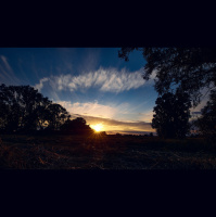 FPC242 - Beatboxing mit Neufi