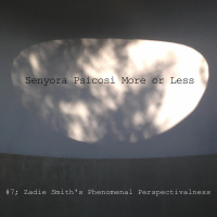 Senyora Psicosi More or Less, #7 Zadie Smiths Phenomenal Perspectivalness