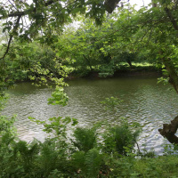 Your Mortality Zone-Podcast 165