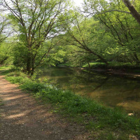 Dates Inscribed On Stone-Podcast 163