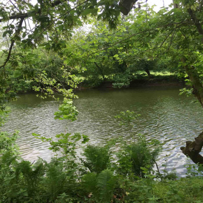 Kate Lovings P. R. A. Y. E. R Podcast