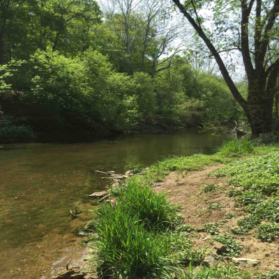 Kate Lovings P. R. A. Y. E. R Podcast