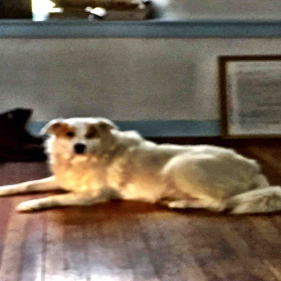 Kate Lovings P. R. A. Y. E. R Podcast